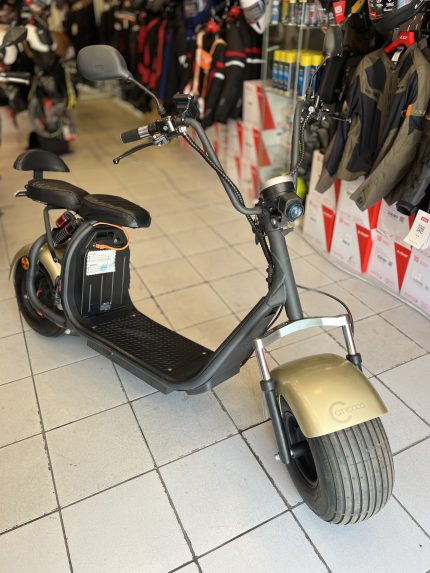 CITYCOCO FAMILY V2 ELEKTRİKLİ MOTOSİKLET